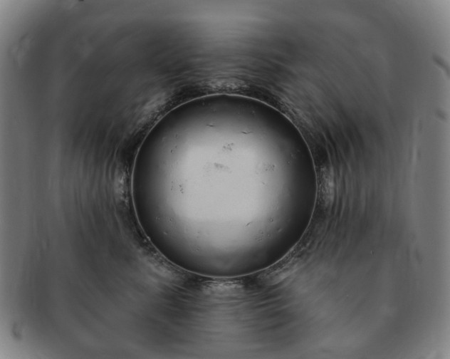 X0000091190619200708231510