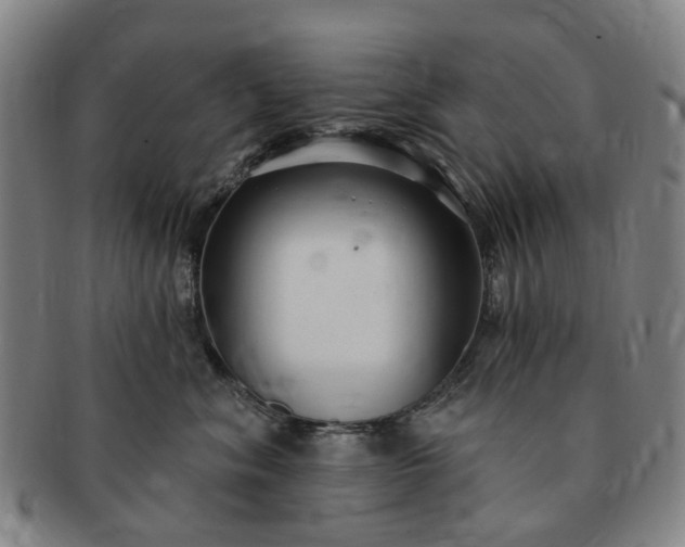 X0000091190620200708231510