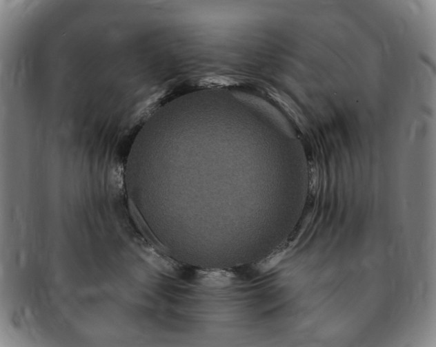 X0000091190621200708231510