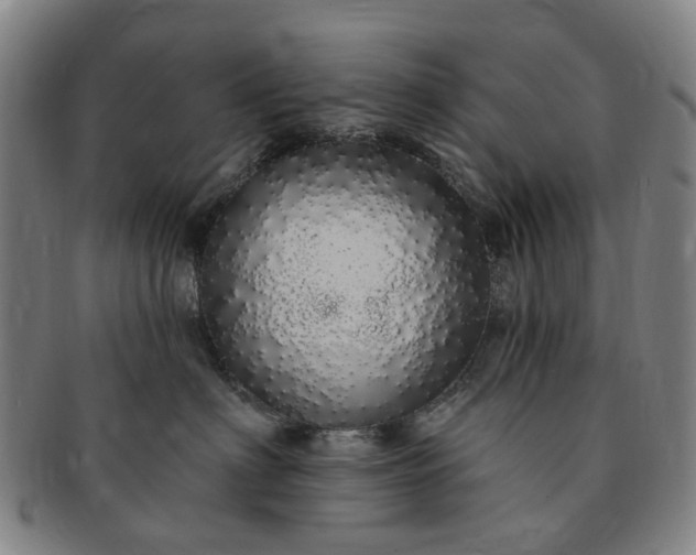 X0000091190622200708231510