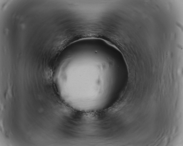 X0000091190624200708231510