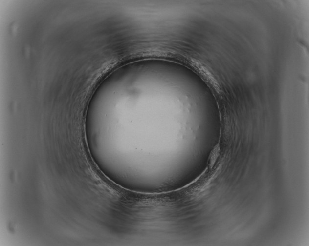 X0000091190625200708231509