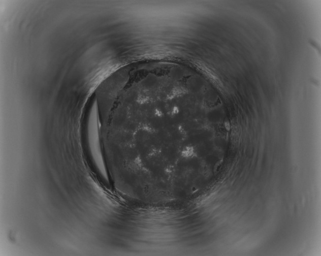 X0000091190626200708231509