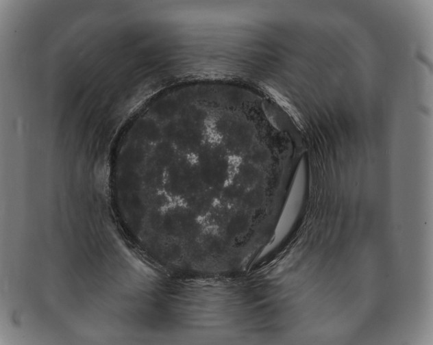 X0000091190627200708231509