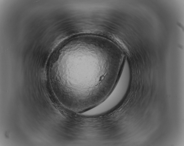 X0000091190628200708231509