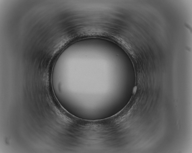 X0000091190629200708231509