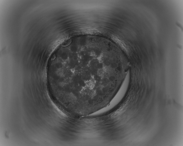 X0000091190630200708231509