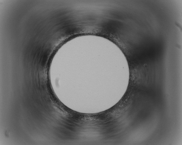 X0000091190632200708231509