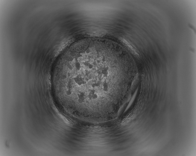 X0000091190634200708231509