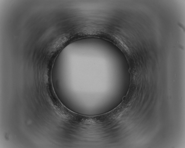 X0000091190635200708231509