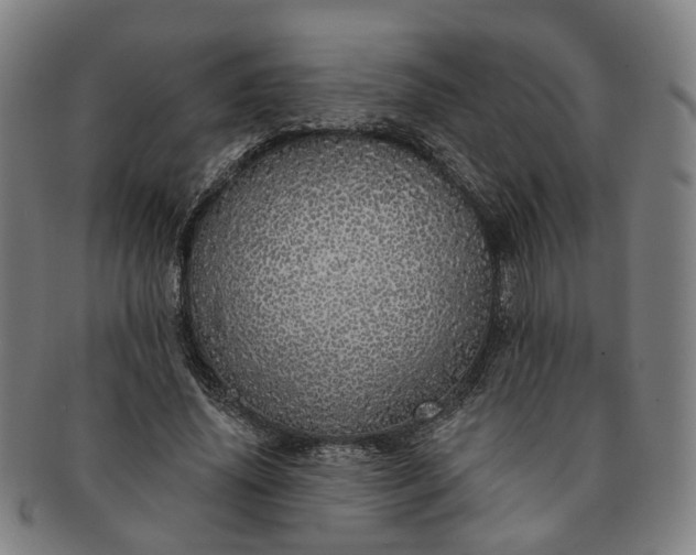 X0000091190636200708231509