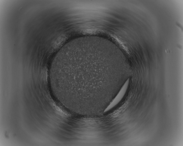 X0000091190637200708231509