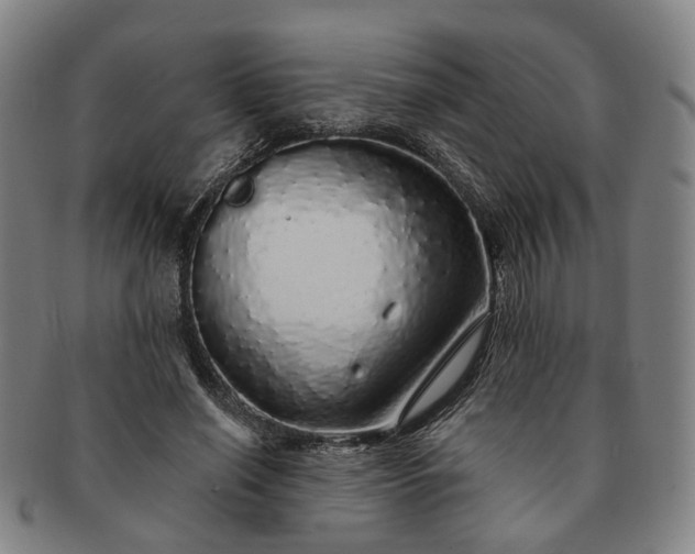 X0000091190638200708231509