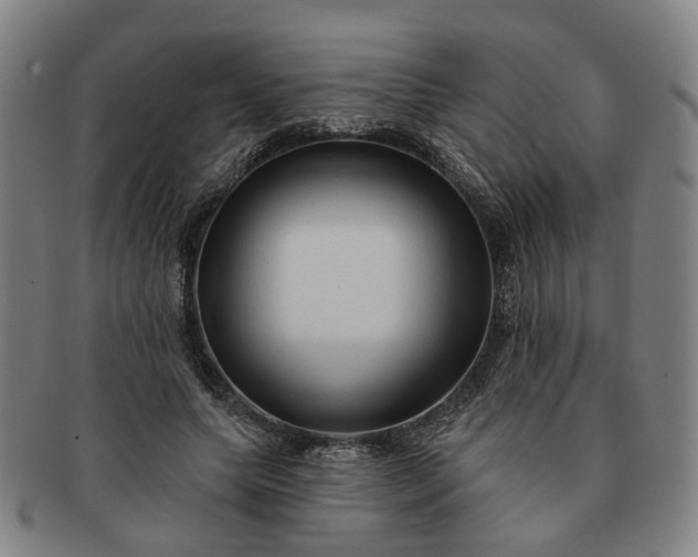 X0000091190639200708231509