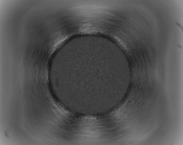 X0000091190640200708231509