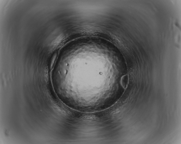 X0000091190642200708231509