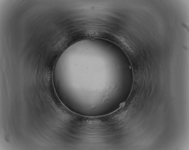 X0000091190645200708231510