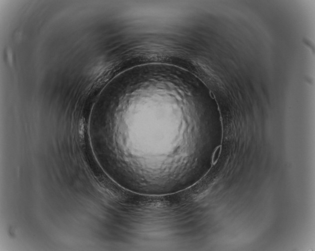 X0000091190646200708231510