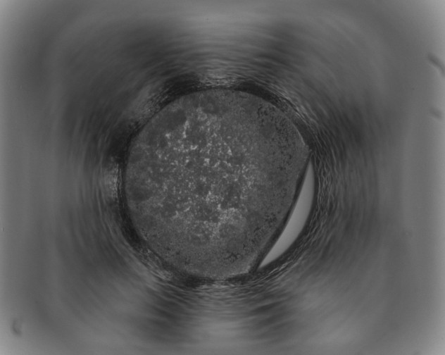 X0000091190647200708231510