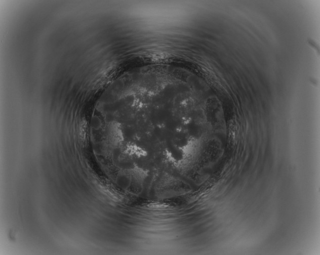 X0000091190650200708231510