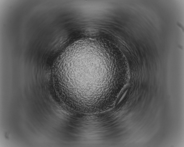 X0000091190652200708231510