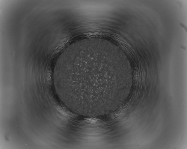 X0000091190654200708231510