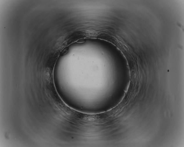 X0000091190655200708231510