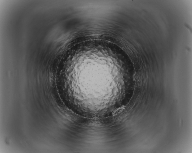 X0000091190656200708231510