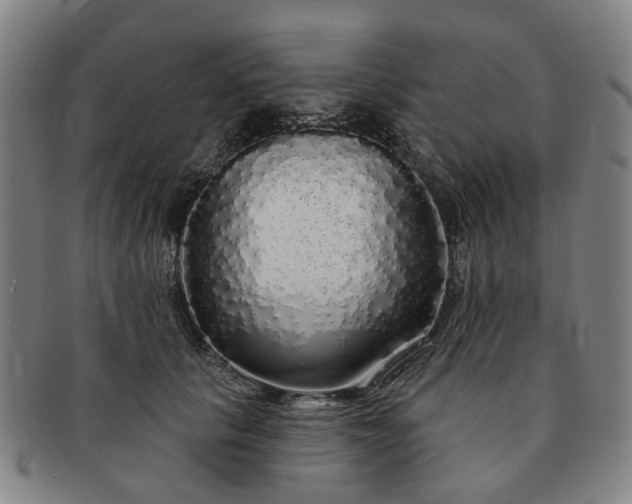 X0000091190657200708231510