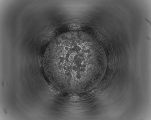 X0000091190658200708231510