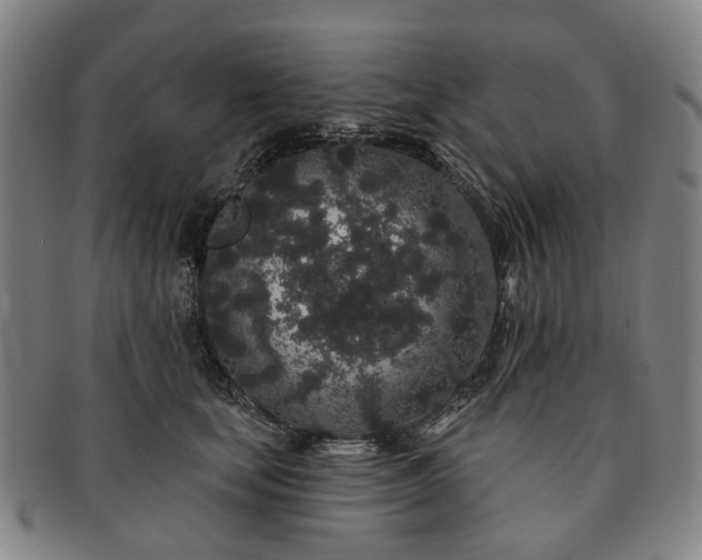 X0000091190659200708231510