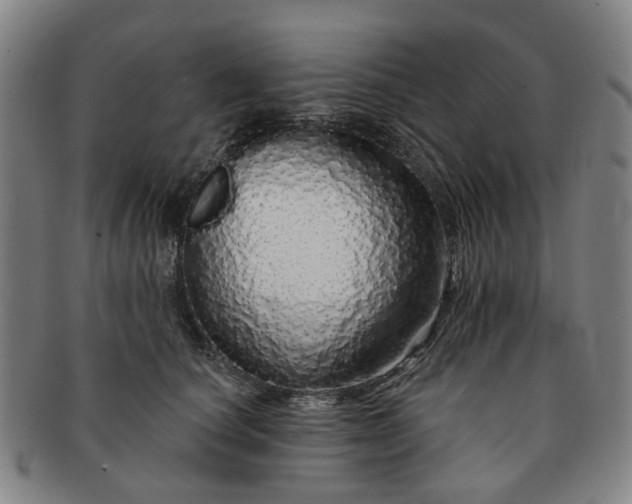 X0000091190660200708231510