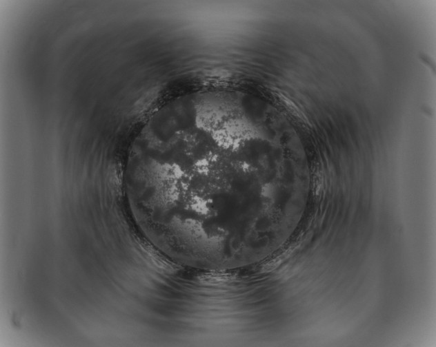 X0000091190661200708231510