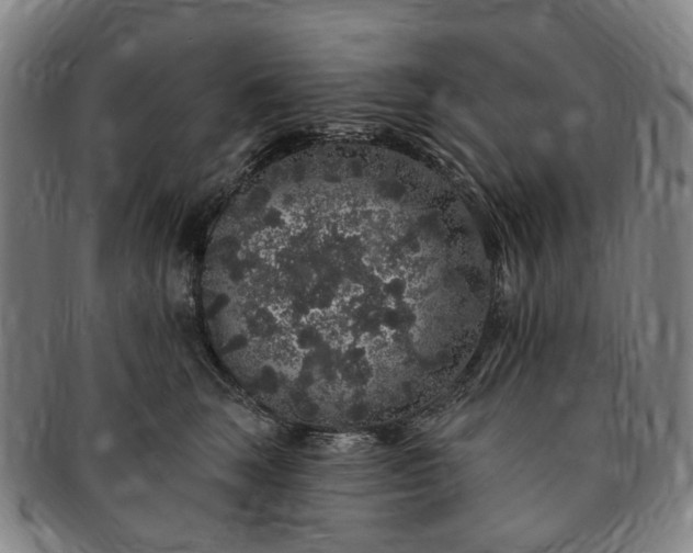 X0000091190663200708231510