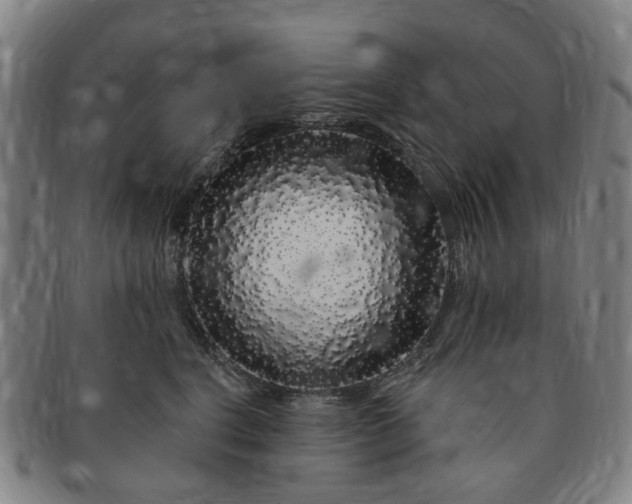 X0000091190664200708231510