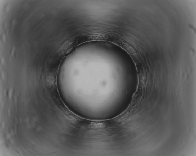 X0000091190665200708231510