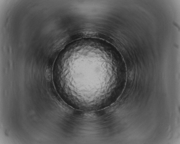 X0000091190666200708231510