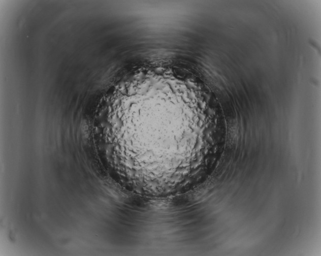 X0000091190667200708231510