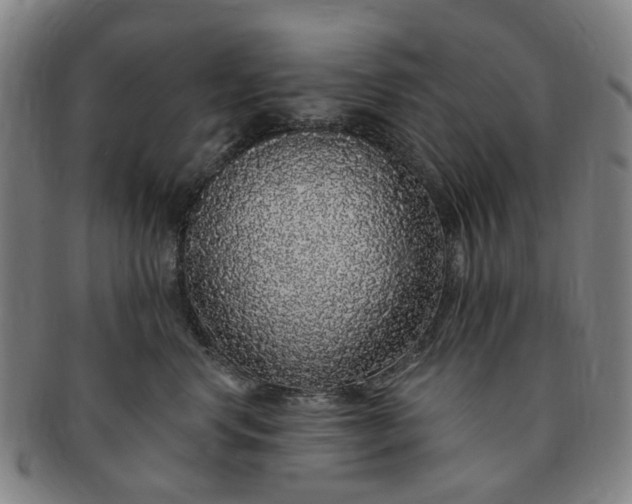 X0000091190668200708231510