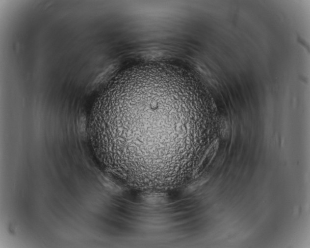 X0000091190670200708231510