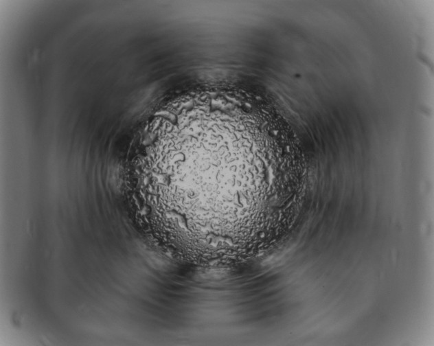 X0000091190671200708231510