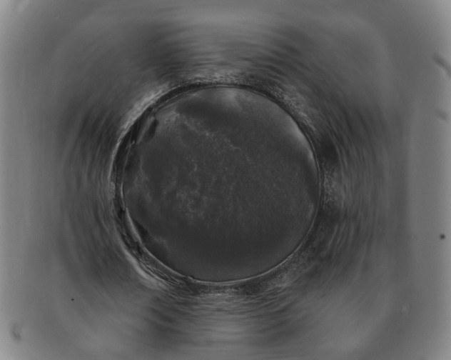 X0000091190674200708231509