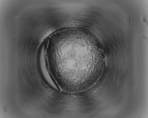 X0000091190675200708231509