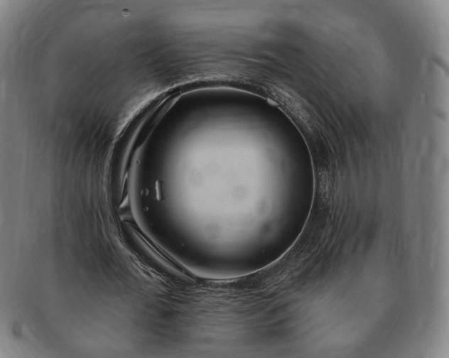 X0000091190676200708231509