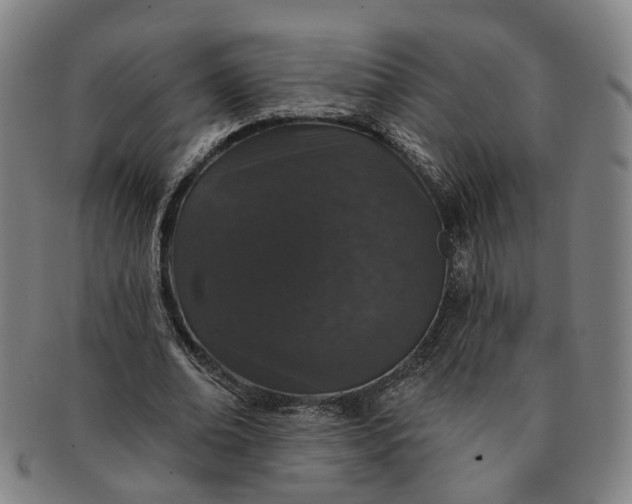 X0000091190678200708231509