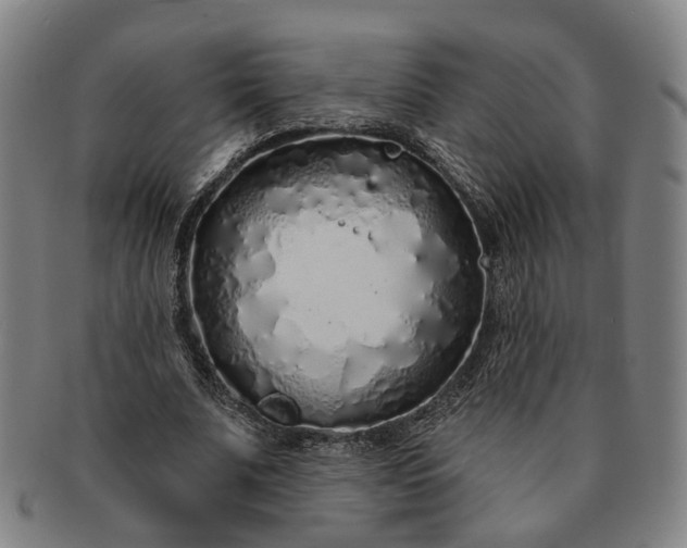 X0000091190679200708231509