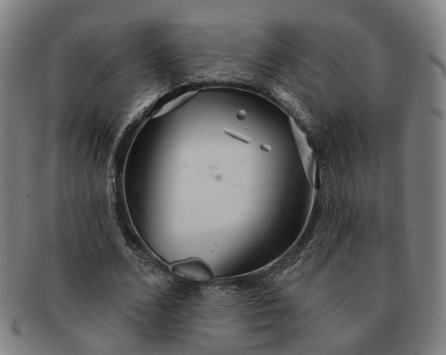 X0000091190680200708231509