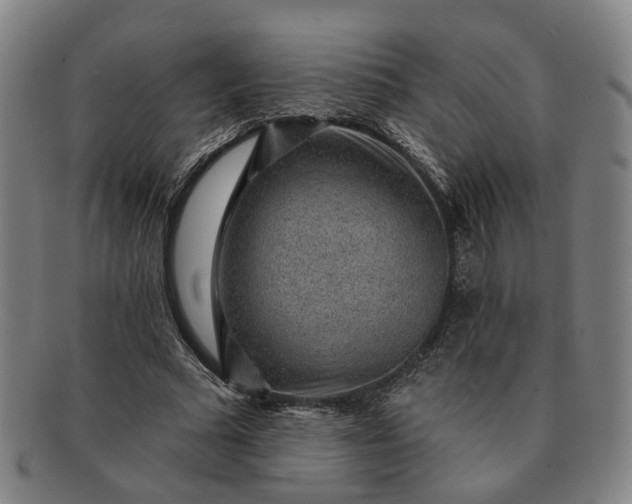 X0000091190681200708231509