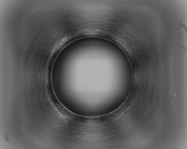 X0000091190682200708231509