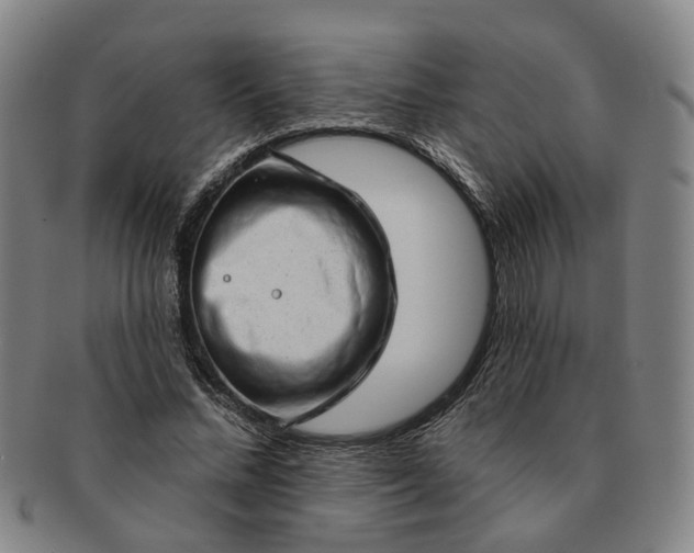 X0000091190684200708231509